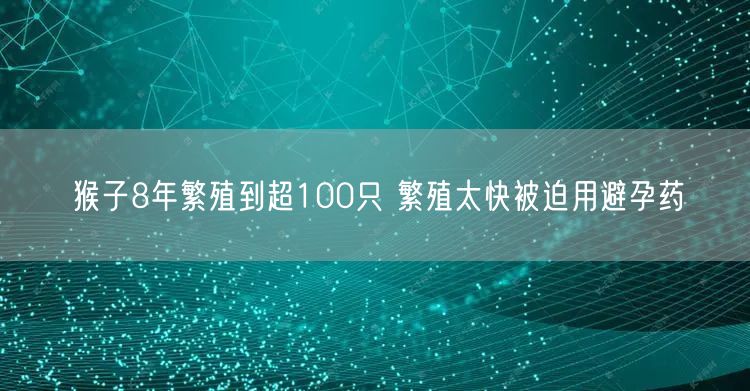 猴子8年繁殖到超100只 繁殖太快被迫用避孕药